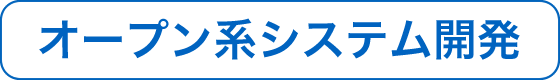 オープン系システム開発